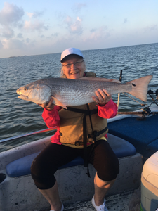 Powerful Redfish In Port Aransas 